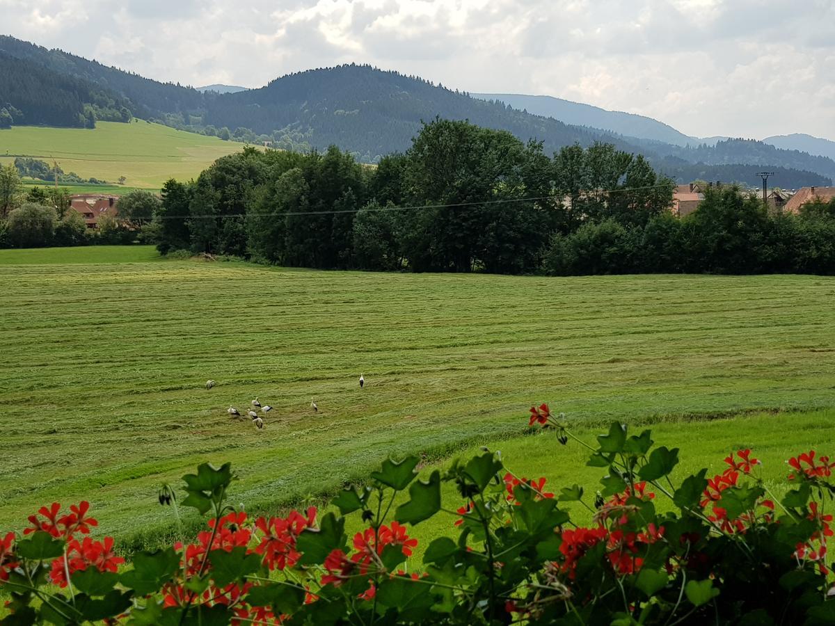Ferienwohnung Am Rain Winden im Elztal Extérieur photo